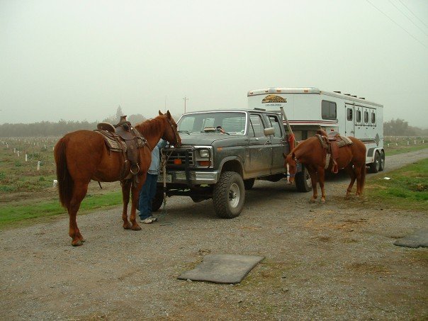 How many Midas could we put in this rig