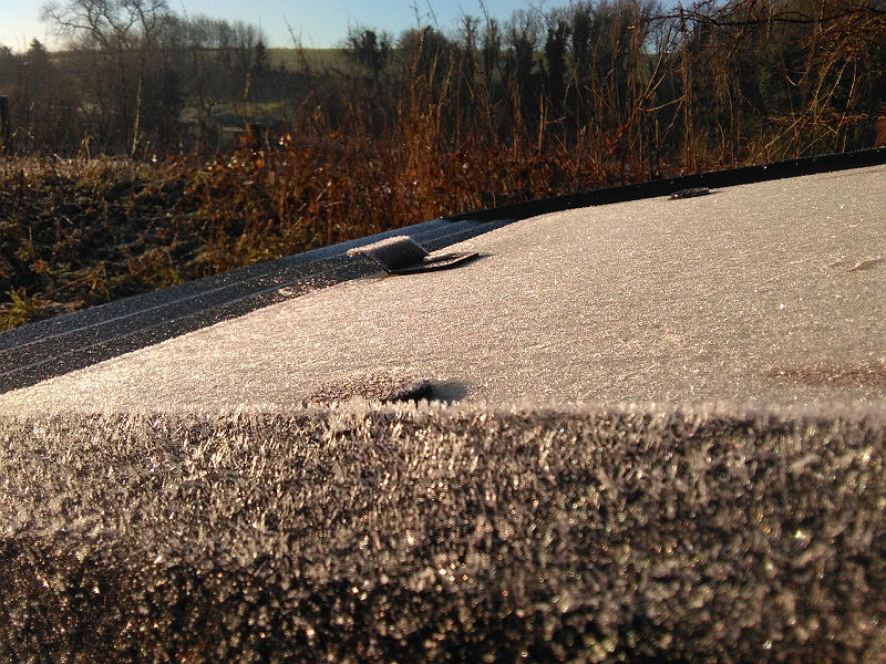 Furry paint syndrome on my Midas