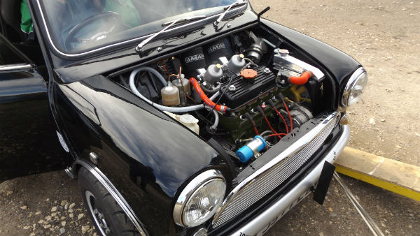 DEWS Downton Clay Pigeon Mini pic 1