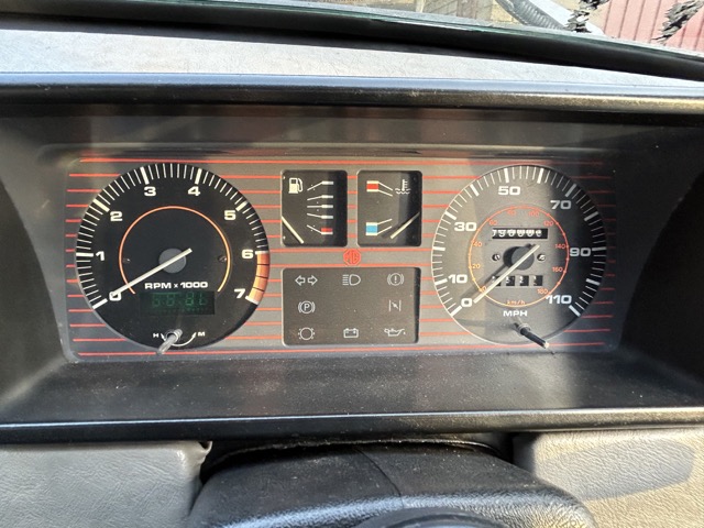 IMG_2196 Medium.jpeg